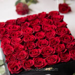 باکس 40 شاخه گل رز