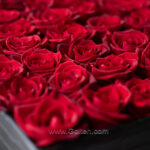 باکس 40 شاخه گل رز