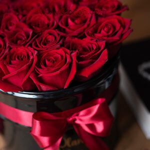 باکس 2 شاخه گل رز هلندی قرمز