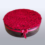 باکس گل رز 250 شاخه هلندی