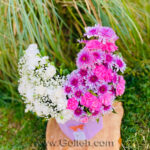 باکس گل یاسی