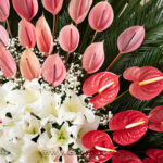 گل تبریک و افتتاحیه