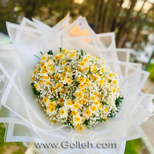 دسته گل نرگس و ژیپسوفیلا