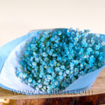 دسته گل ژیپسوفیلا مینیمال
