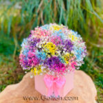 باکس گل ژیپسوفیلا هفت رنگ