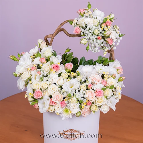 باکس گل تیارا