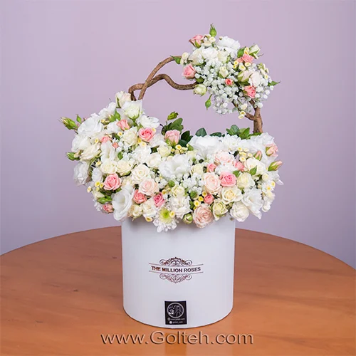 باکس گل تیارا