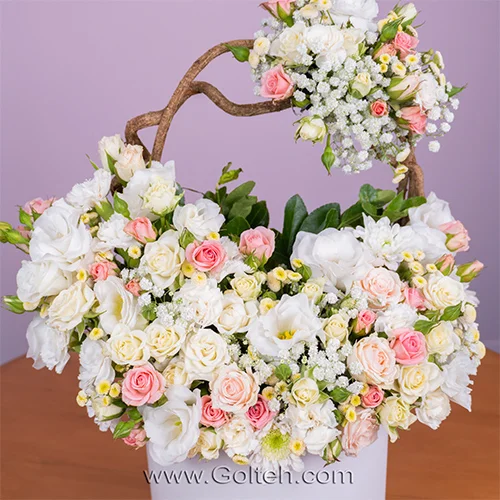 باکس گل تیارا