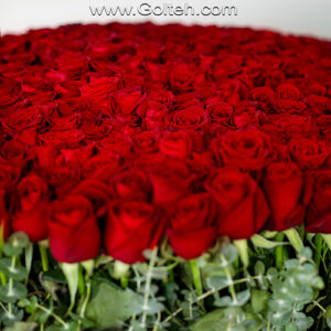 باکس گل رز 500 شاخه