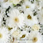 باکس گل سفید