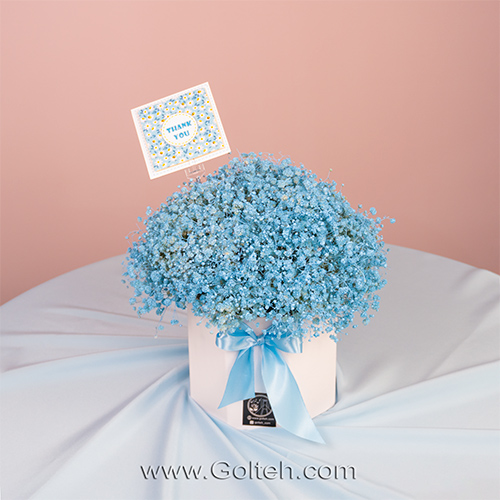باکس گل ژیپسوفیلا آبی