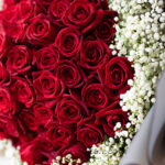 دسته گل رز هلندی و ژپسوفیلا