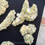 تاج گل پدر