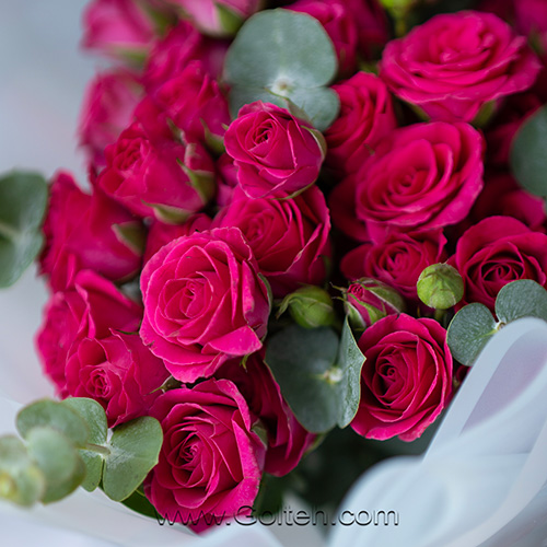 دسته گل رز سرخابی