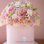 باکس گل گلبهی