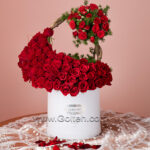 باکس گل رز هلندی قرمز