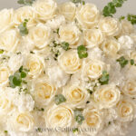 باکس گل رز سفید