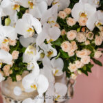 گل خواستگاری ارکیده کوزه