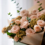باکس گل رز مینیاتوری گلبهی