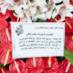 گل تبریک و افتتاحیه