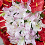 گل تبریک و افتتاحیه