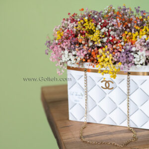 ژیپسوفیلا هفت رنگ