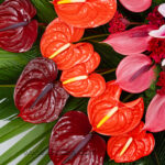 تاج گل تبریک و افتتاحیه
