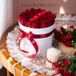 باکس گل رز هلندی قرمز 20 شاخه