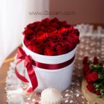 باکس گل رز هلندی قرمز 20 شاخه