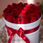 باکس گل رز هلندی قرمز 20 شاخه
