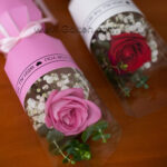 تک شاخه گل رز هلندی