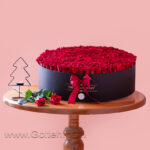 باکس گل 200 شاخه گل رز هلندی قرمز