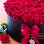 باکس گل 200 شاخه گل رز هلندی قرمز