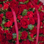 باکس گل رز هلندی قرمز