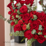 باکس گل رز هلندی