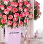 باکس گل رز هلندی جومیلیا