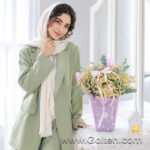 فلاور بگ بابونه