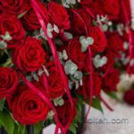 باکس گل رز هلندی قرمز 40 شاخه