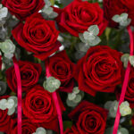 باکس گل رز هلندی قرمز 40 شاخه