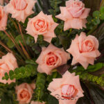 کوزه گل رز هلندی