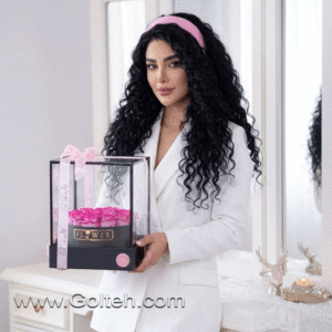 باکس گل رز هلندی سرخ آبی