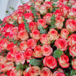 باکس گل 160 شاخه گل رز هلندی